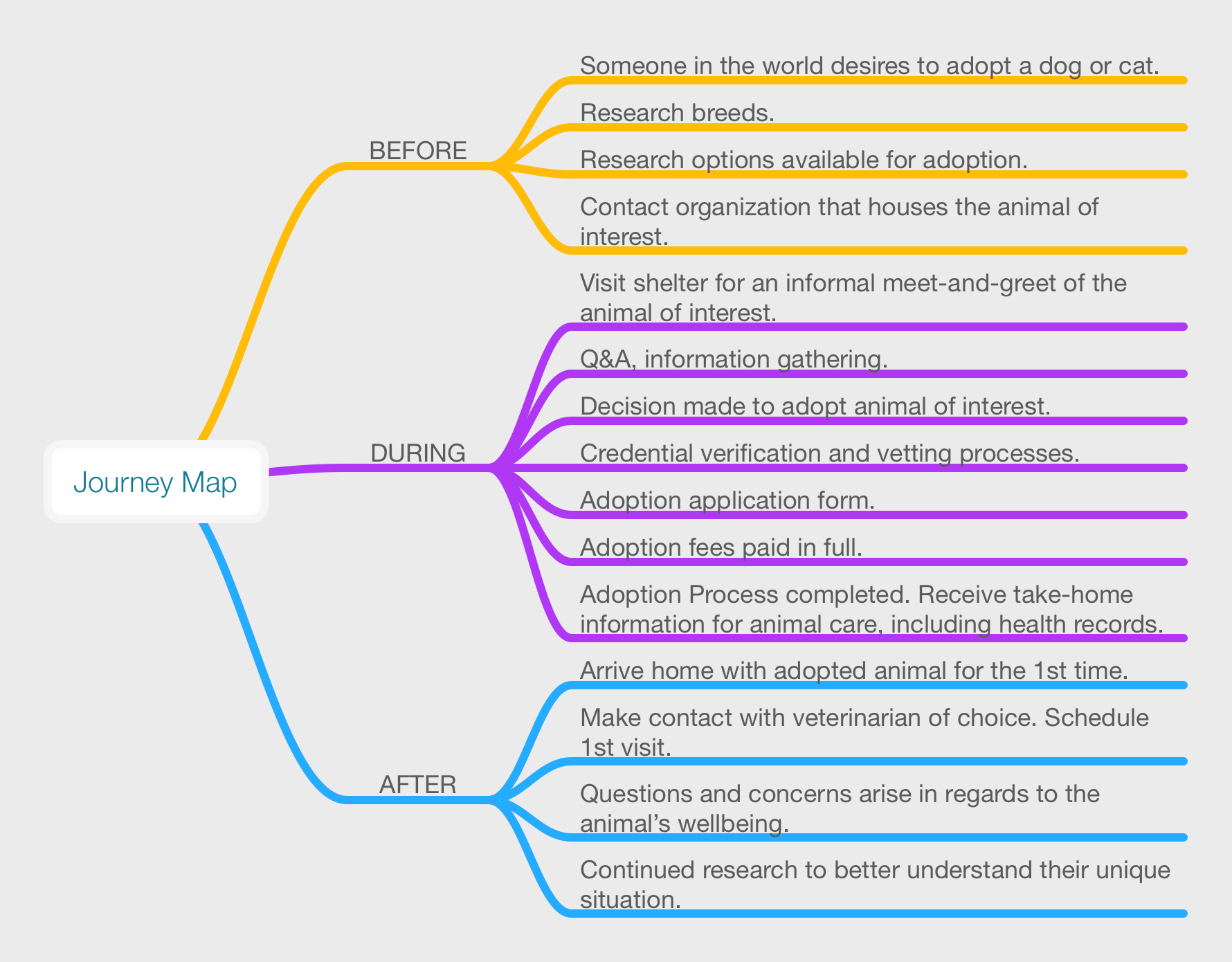 ProjectShelter_JourneyMap.png