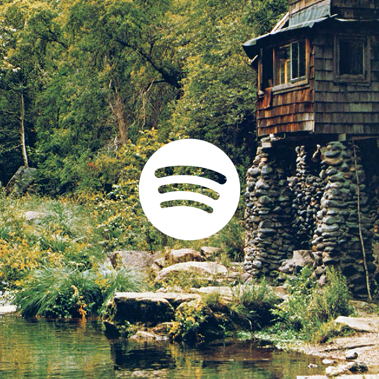 spotify.png