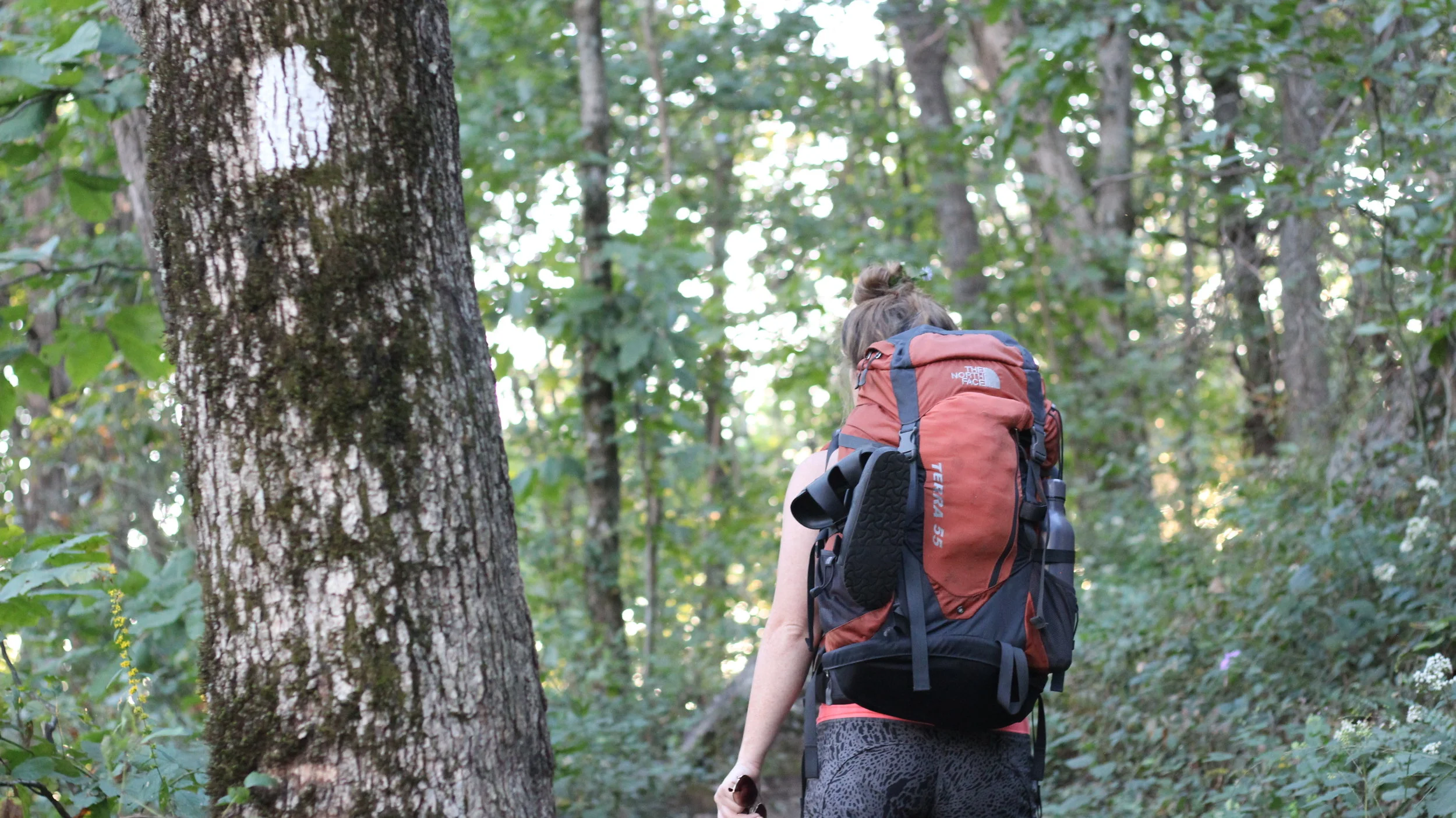 First Thursday Outreach --&gt; Saturday