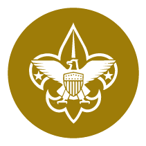  BOY SCOUTS OF AMERICA