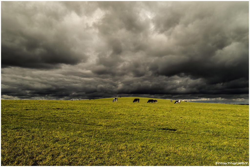 PICTURE BY FreaktographY - CC BY-NC-ND 2.0