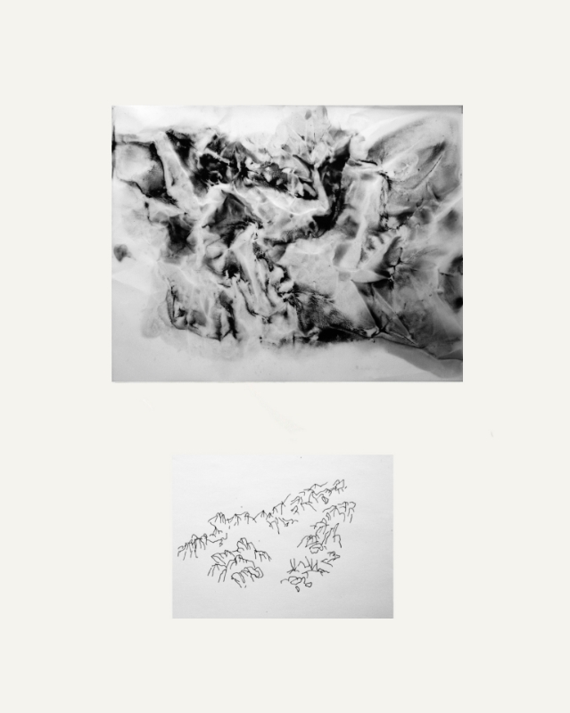 Dialogue #31 2014 Charcoal and Pigment on Vellum Dimension framed: 22 x 27 inches