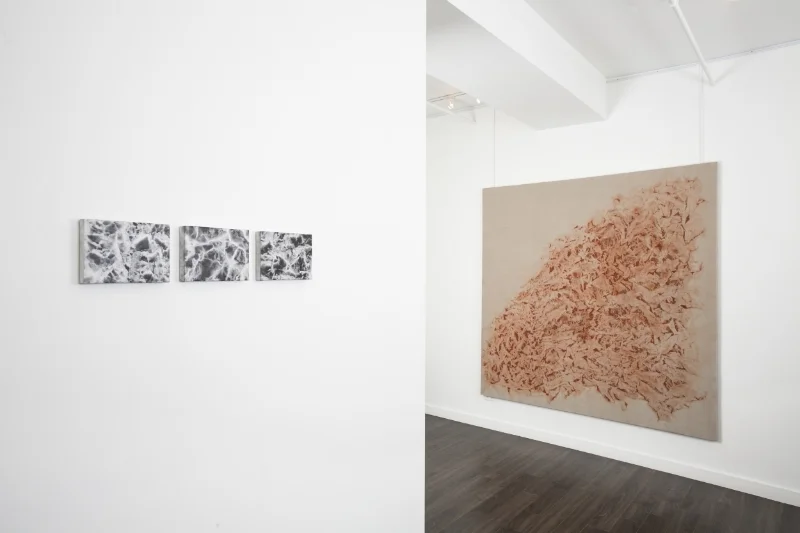 "Earth" Series/ Left Triptych Each 7 13/16" x 5 11/16" "Earth" Series/ Right #1313-2014 (78"x 78") Oil, pigment, alkyd, wax on canvas