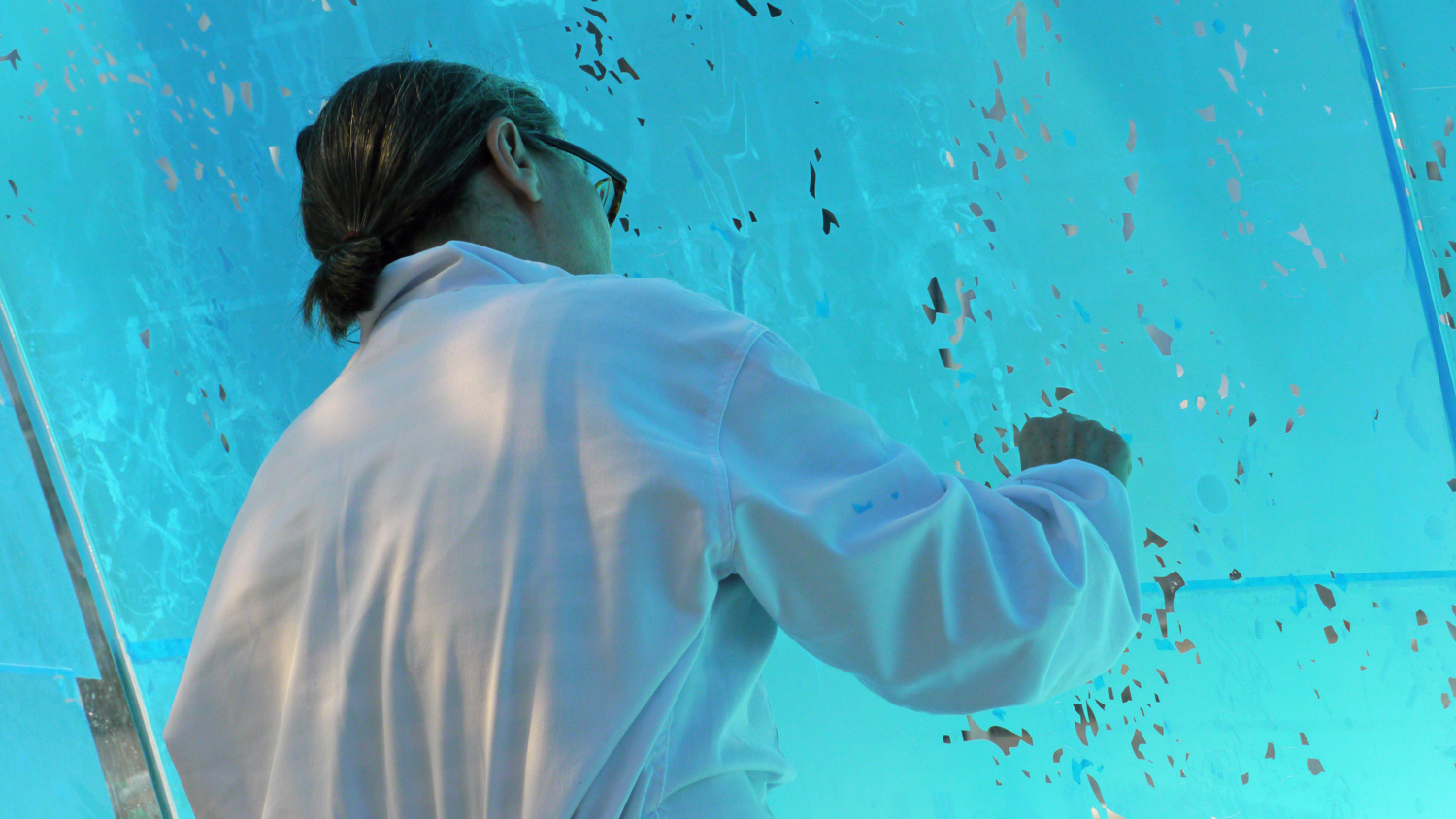 2:TGW+061511+THE+GLASS+WALL+-+artist+Vicky+Colombet+peeling+pre-cut+vinyl+shapes++P1020218.jpg