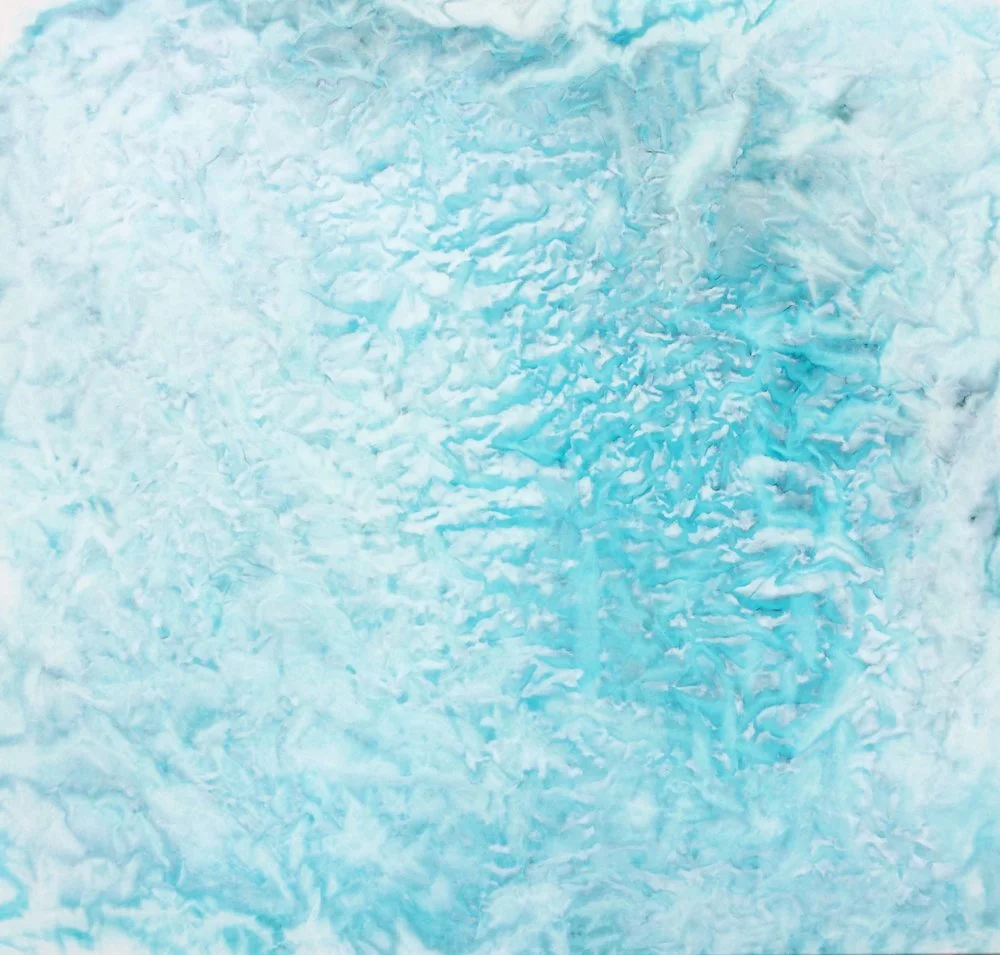 Antarctica #1372