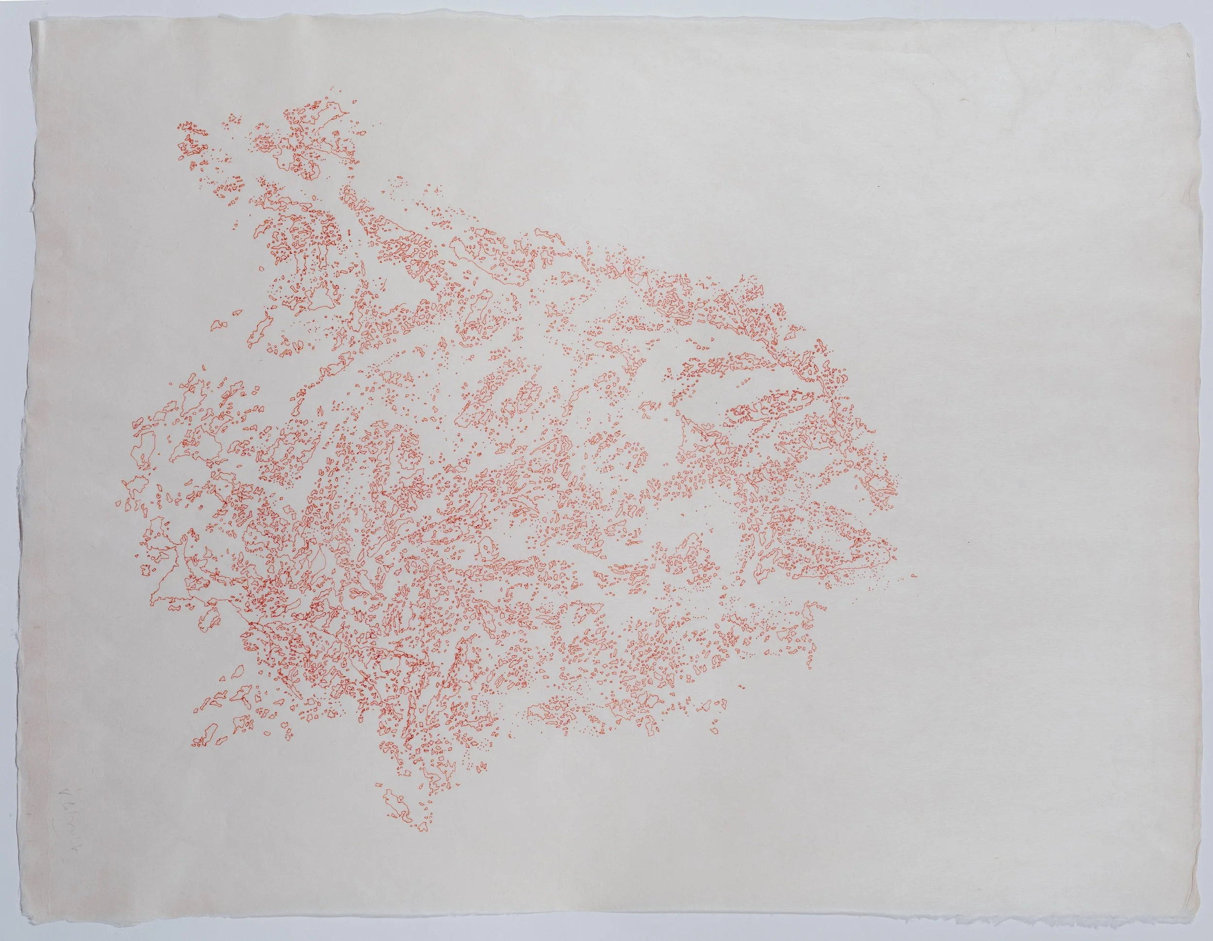 Google Map 2016 Indian Ink on GAMPI YAMAGUCHI 18º Dimension: 18 x 24 inches