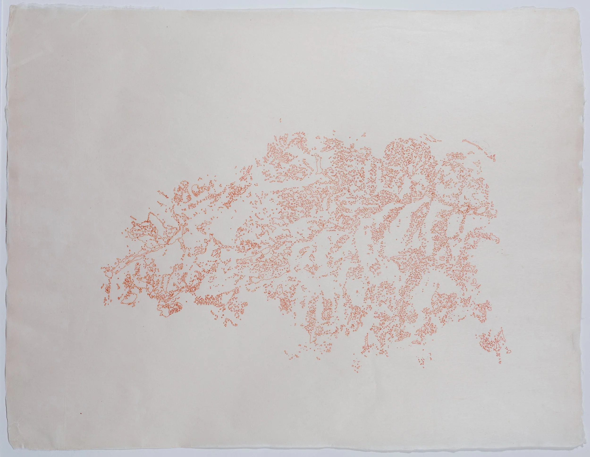 Google Map 2016 Indian Ink on GAMPI YAMAGUCHI 18º Dimension: 18 x 24 inches
