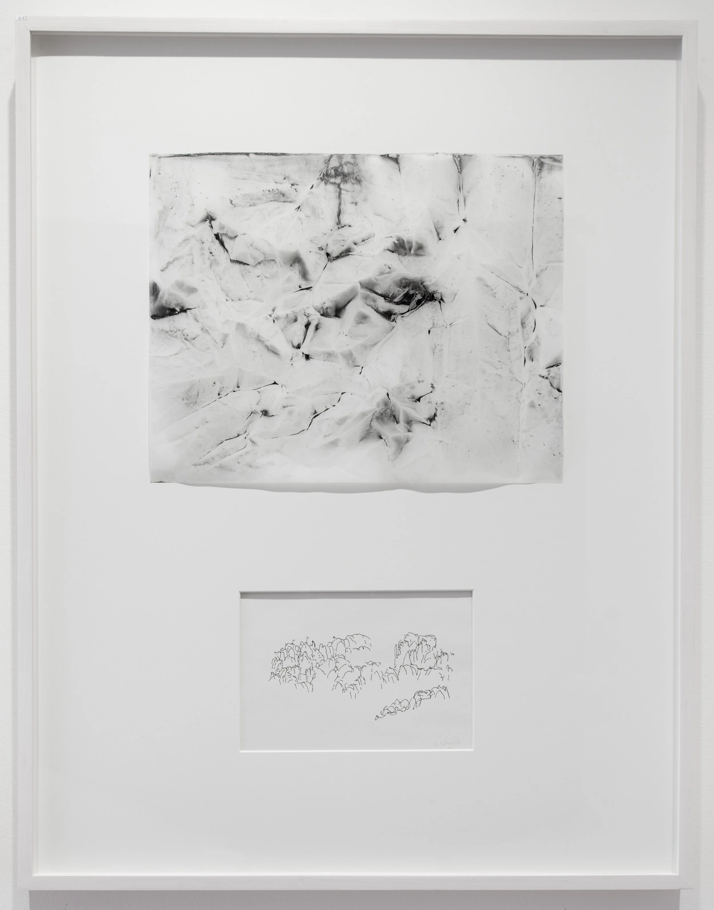 Dialogue # 45 2016 Charcoal and Pigment on Vellum and Ink on paper Dimension framed: 22”x29”