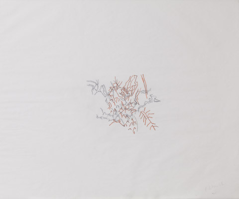 “Brume #1” Double Drawings Indian ink on tracing paper Dimension: 14 x 17 inches
