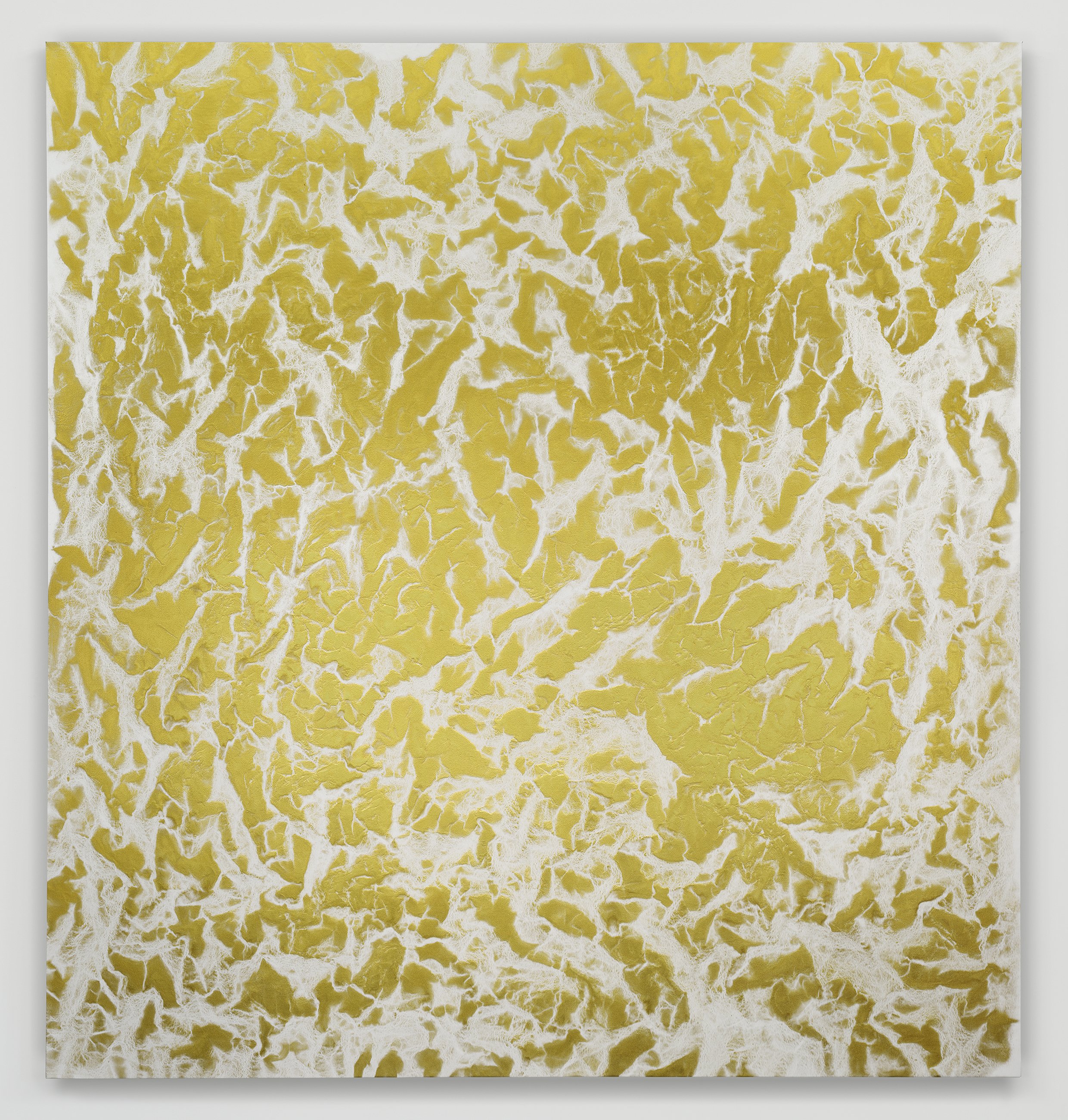 Quantum Gold Fields #1578