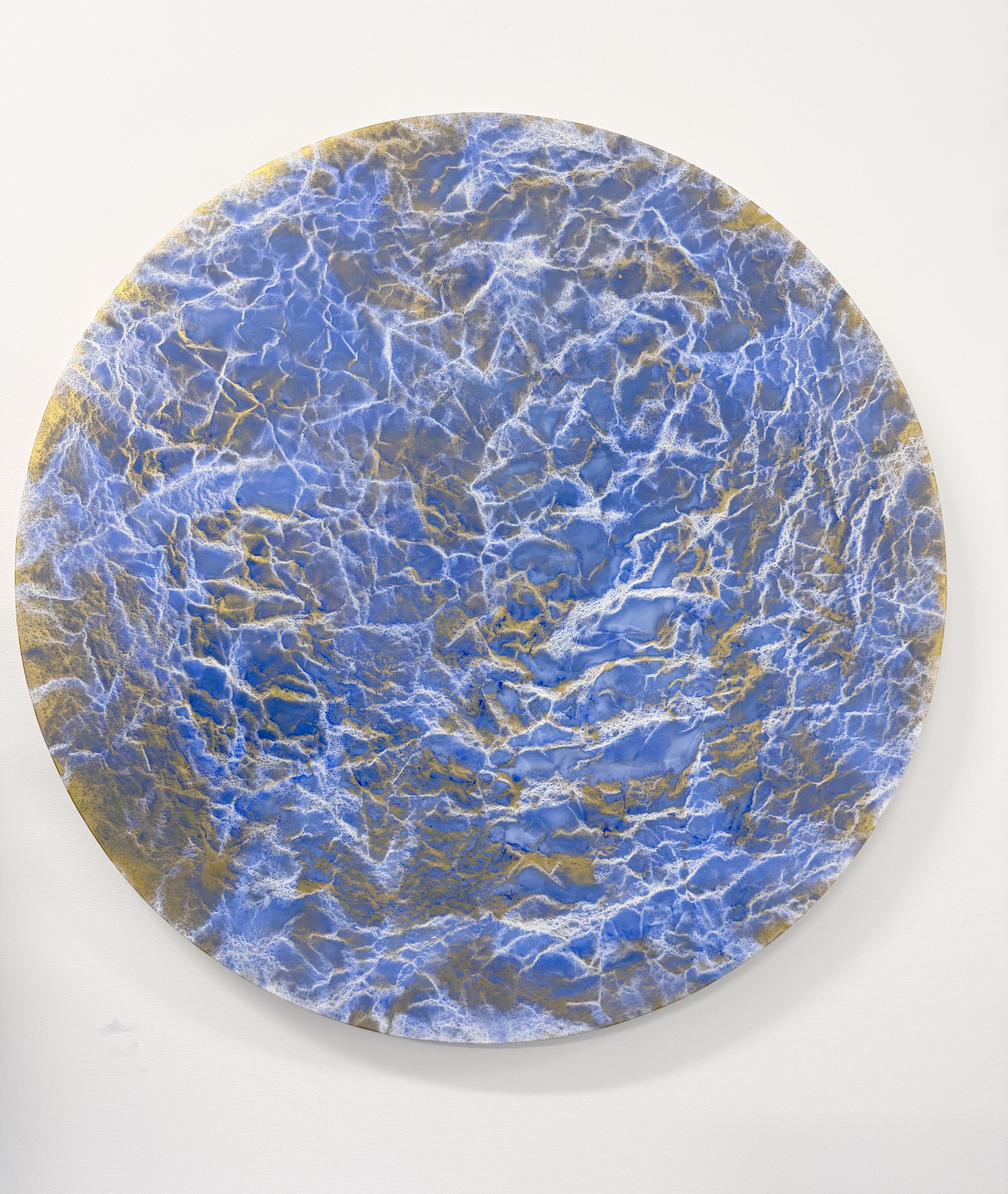Blue/Gold #1544