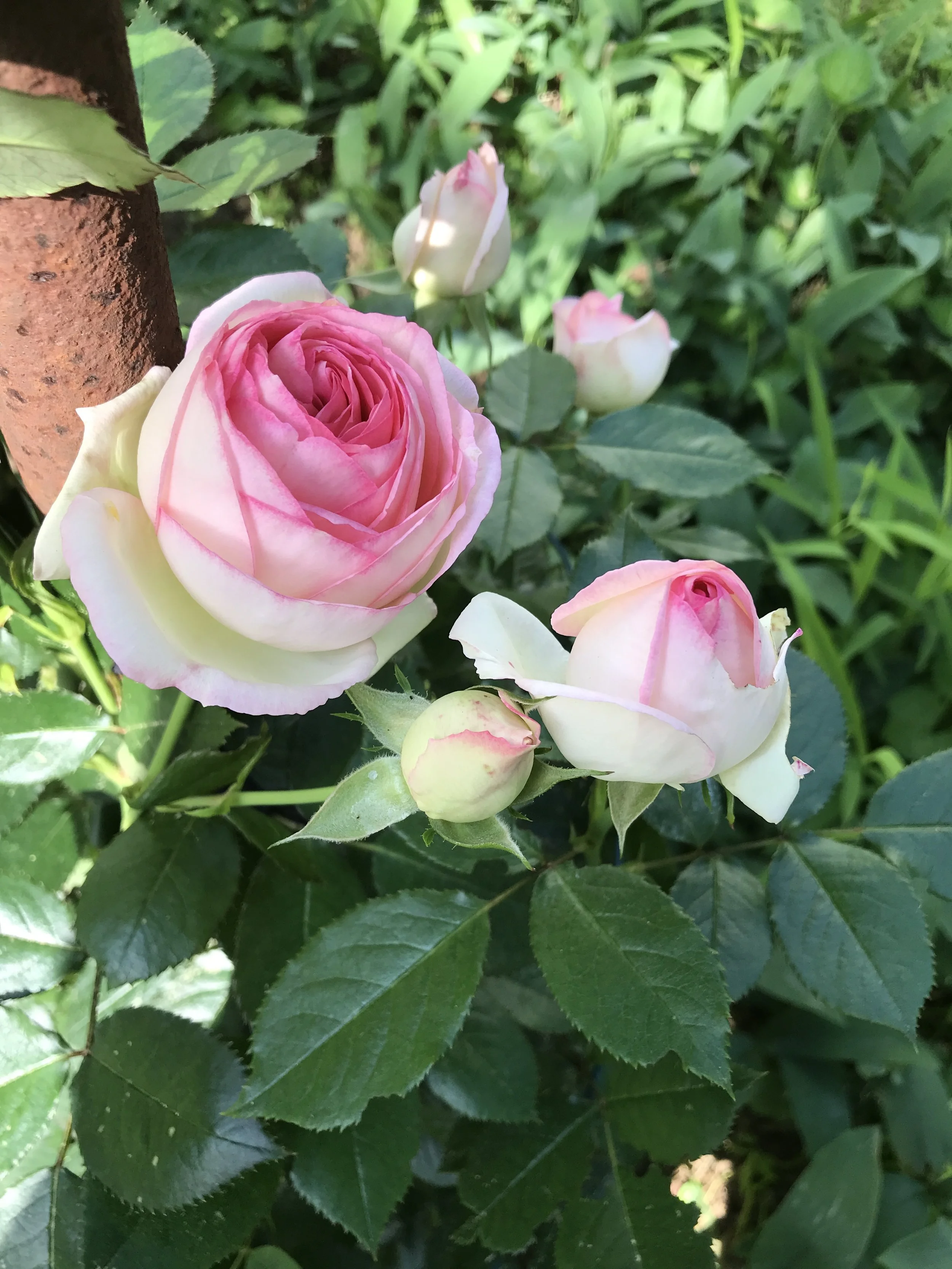 Landscape - Love or Hate