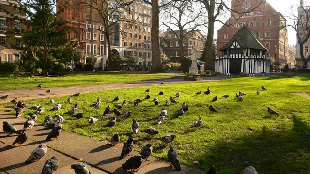 SOHO SQUARE
