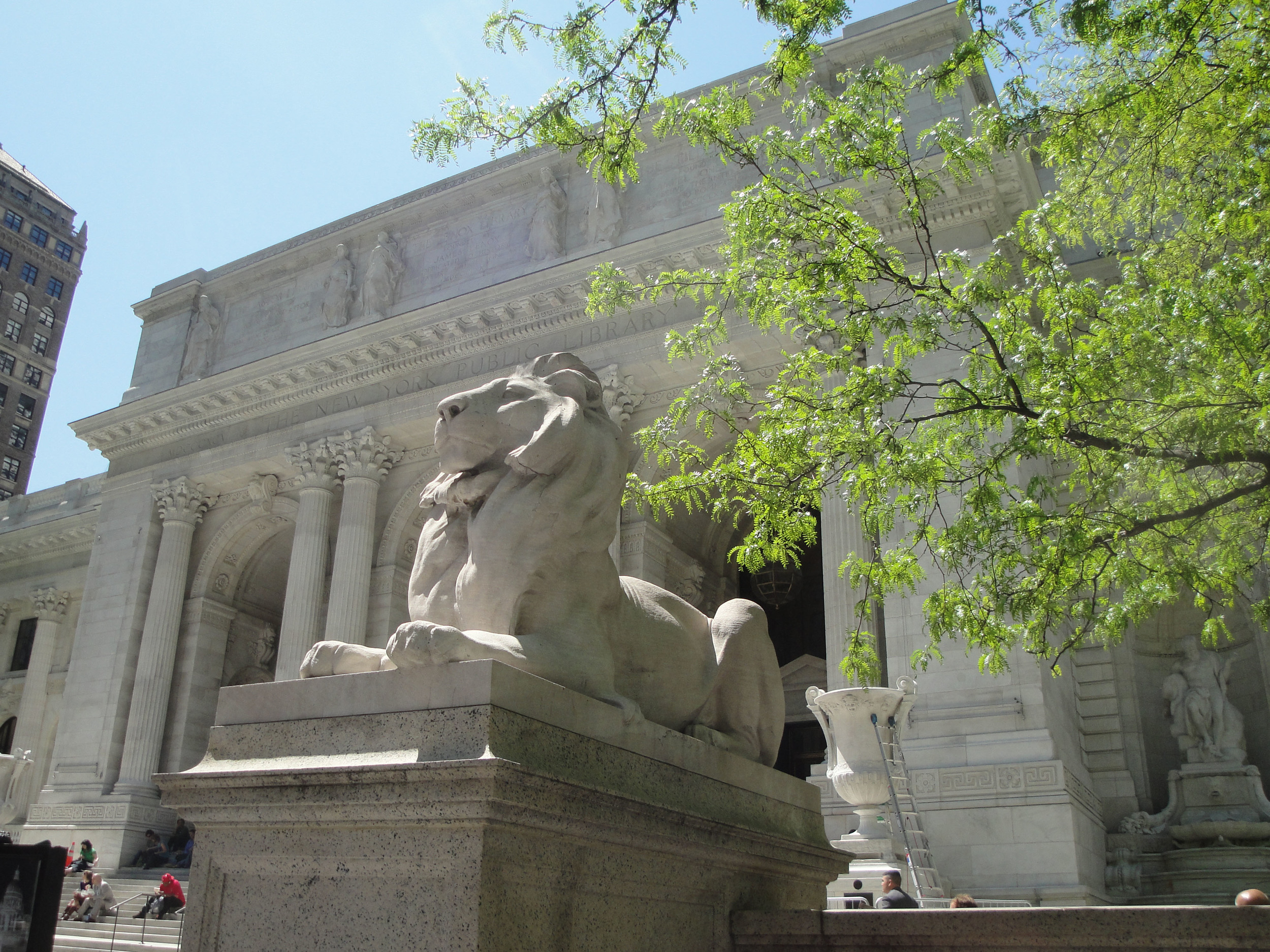 New_York_Public_Library_Lion_May_2011.JPG