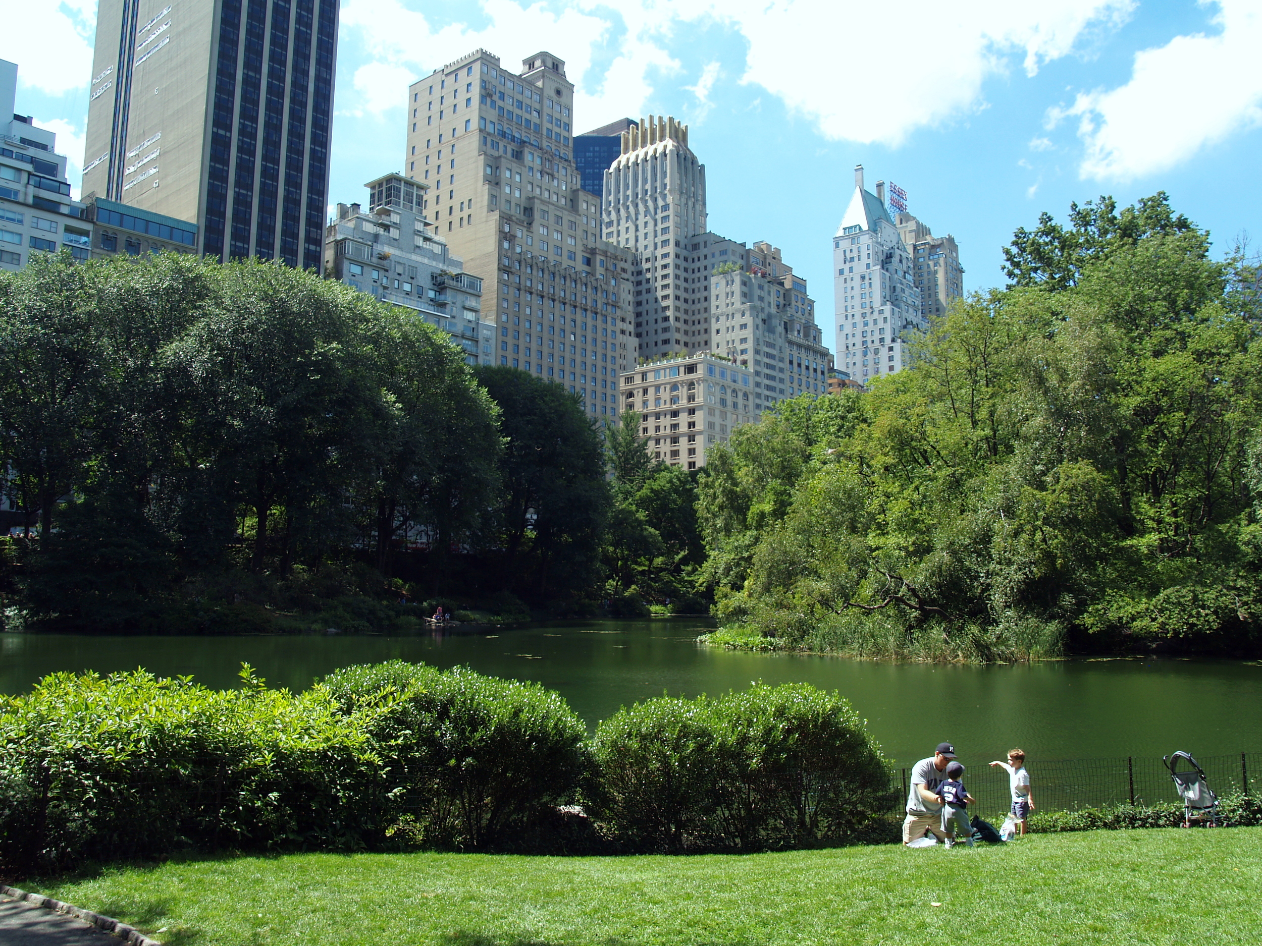 Lower_Central_Park_Shot_5.JPG