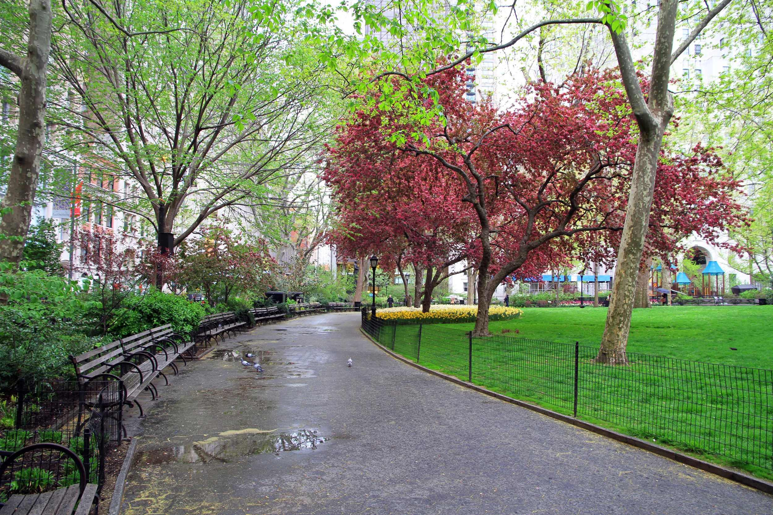 Madison Square Park