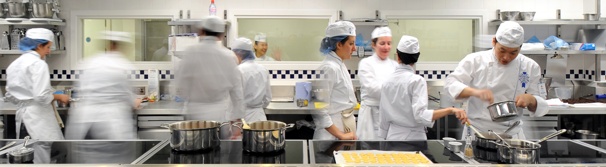 FOX & SQUIRREL: Creative Walks - Bloomsbury