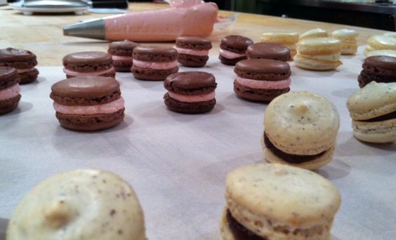macarons.jpeg