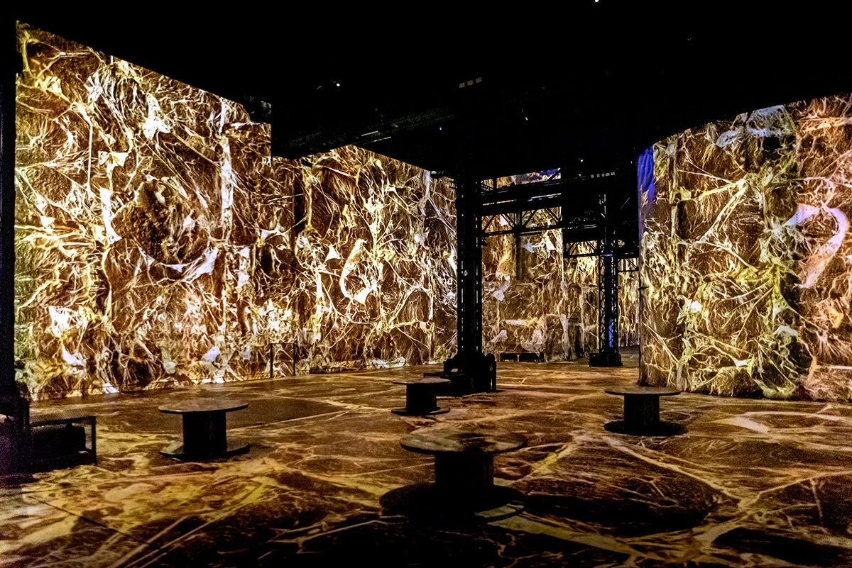 PARIS : "YVES KLEIN - INFINITE BLUE" AT ATELIER DES LUMIERES