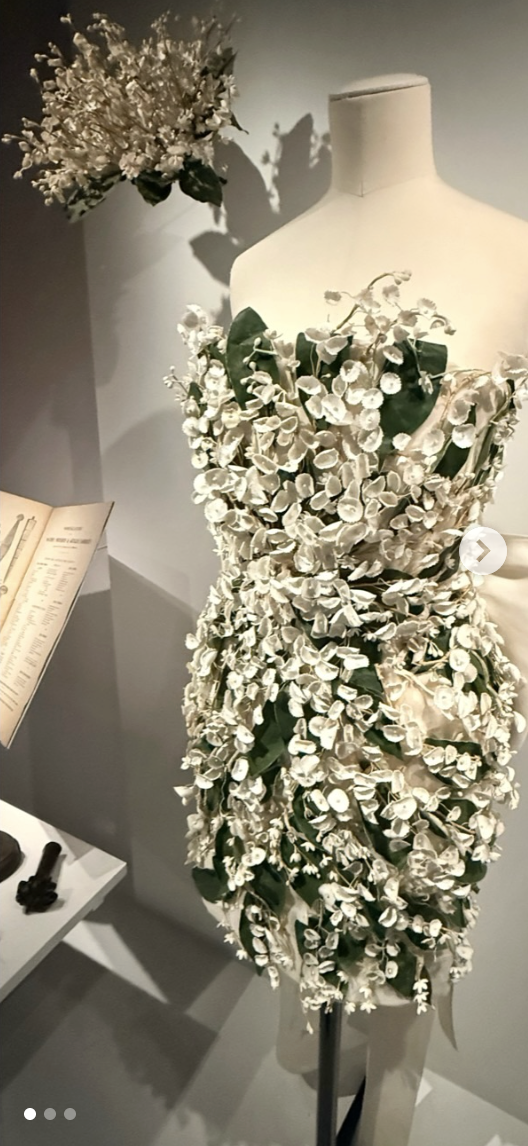 Screenshot 2026-01-31 at 12.06.51 PM.png