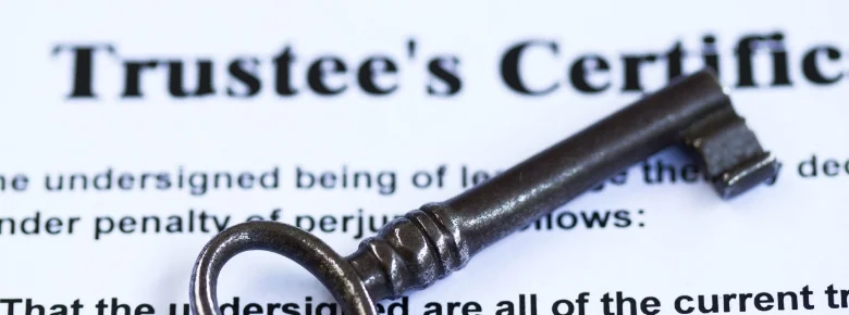 delaware statutory trust