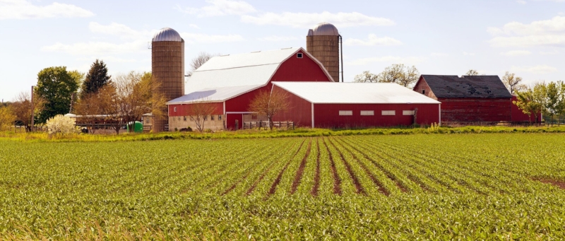 1031 Exchange of Farmland