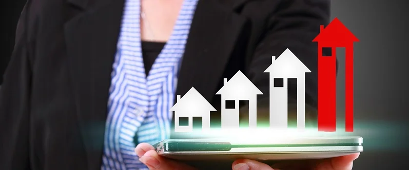 Balancing Act of Borrowing Money