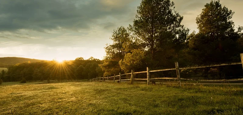 Conservation Easement 1031 Exchange