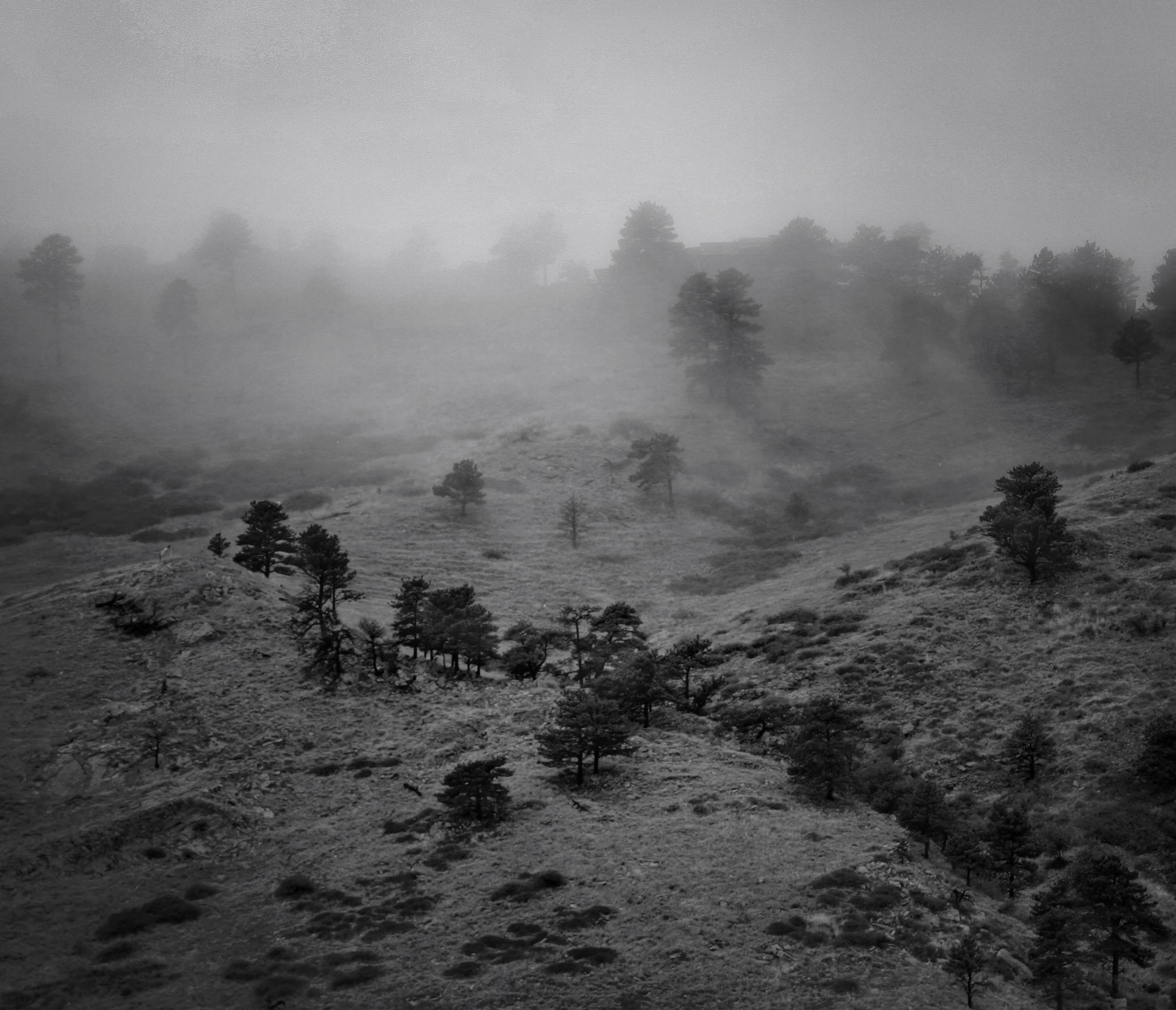 fog.jpg