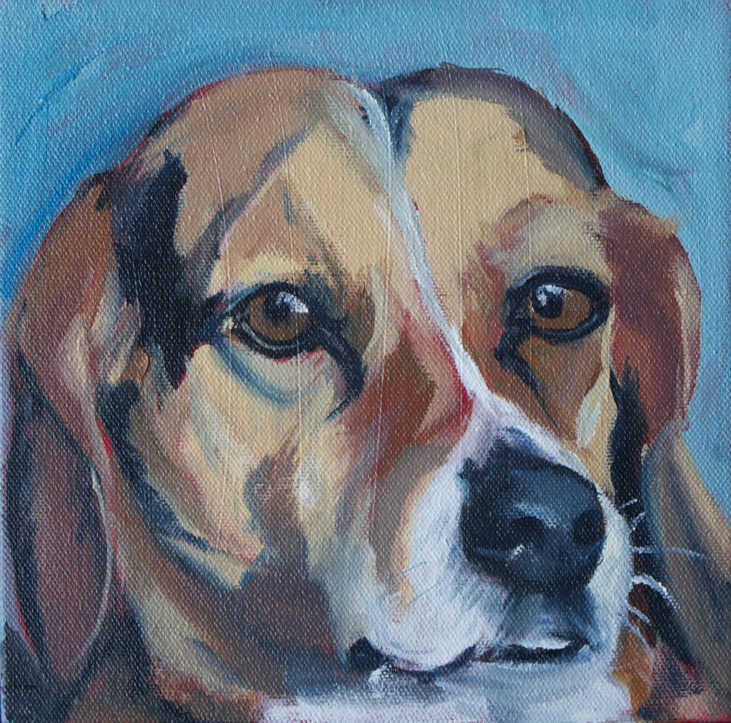 "Bruno" 8 x8 " oil on canvas