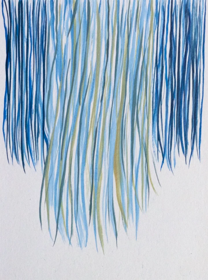 Swimming_5x7.jpg