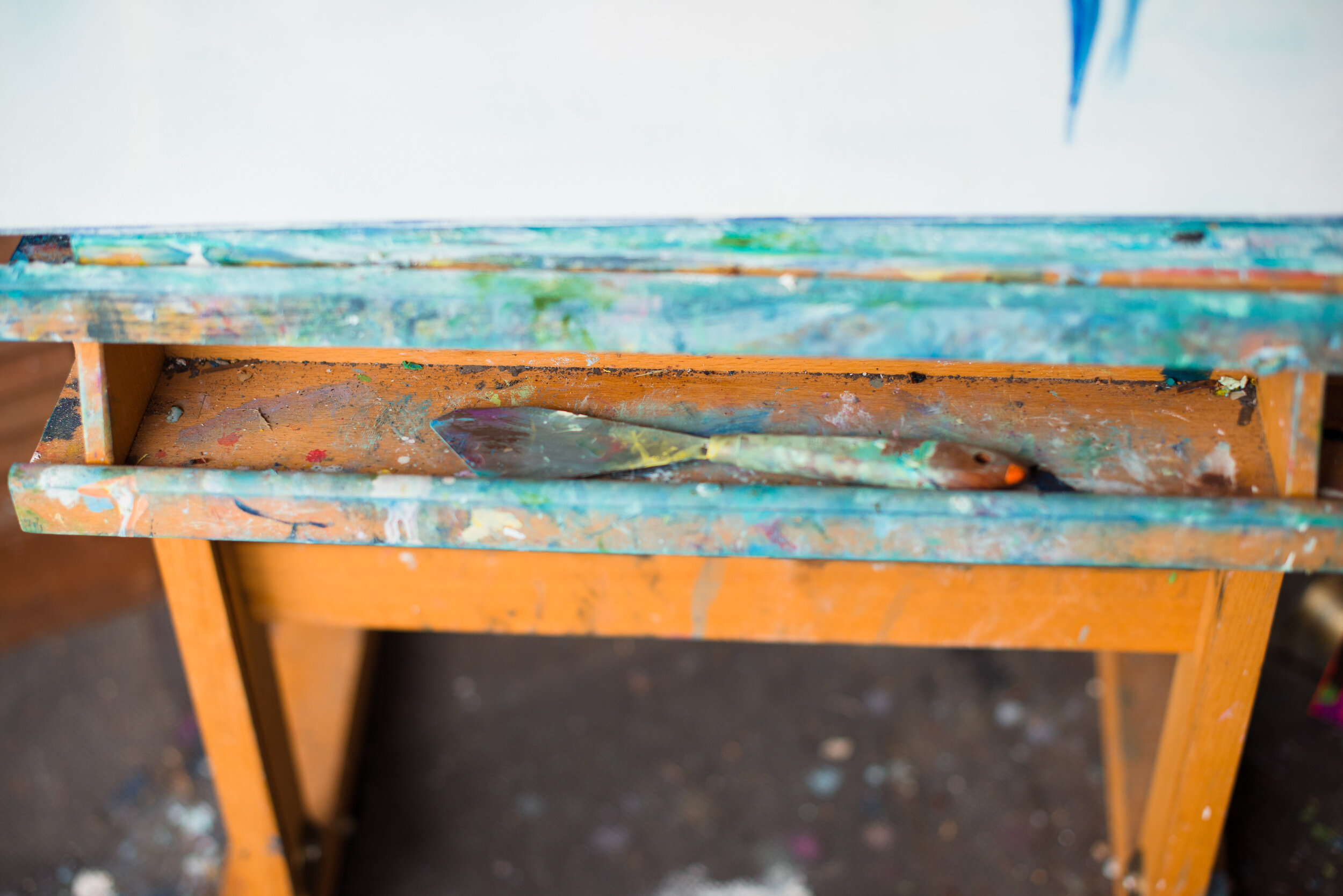 Portfolio &amp; Artist Statement / Bio Review