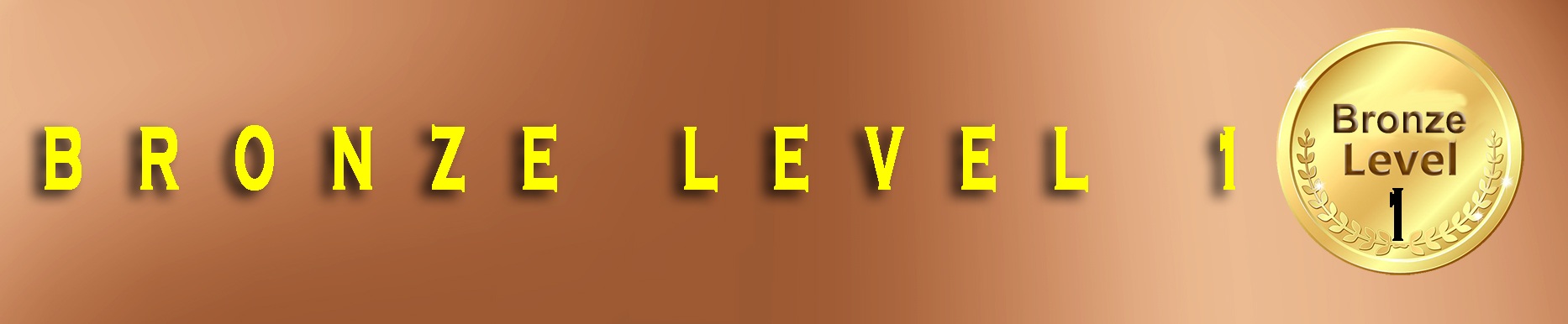 Bronze_full Banner1 All 3 - Copy - Copy - Copy - Copy.jpg