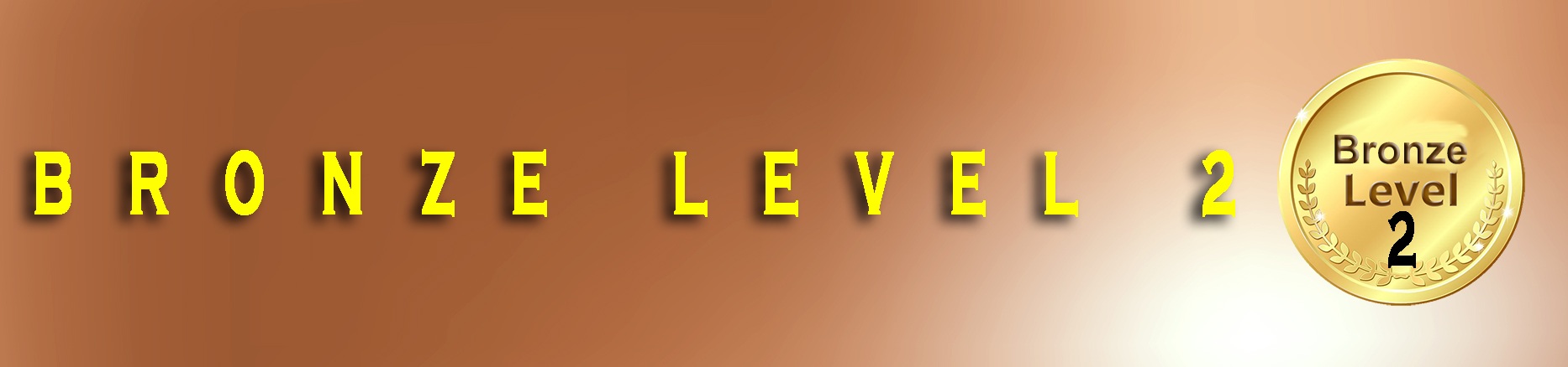 Bronze_full Banner1 All 3 - Copy - Copy - Copy.jpg
