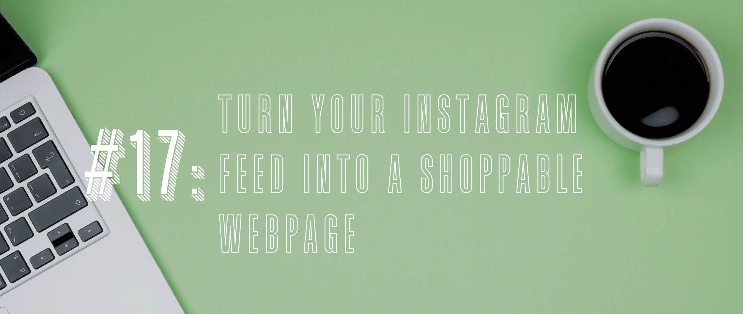 17 Turn Your Instagram Feed into a Shoppable Webpage.jpg