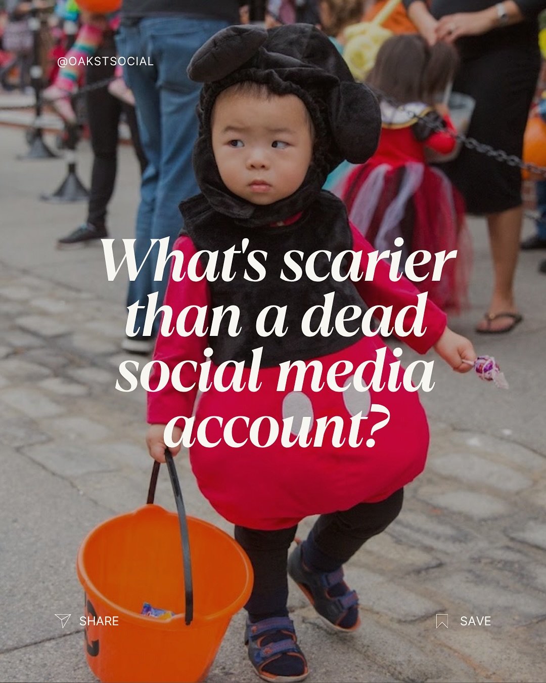 This Halloween, we&rsquo;re serving up something a little less spooky: social media strategies that actually work. 

Check out this campaign that transformed @backtotheroots_official presence from ghosted to most-posted.

Ready to resurrect your soci