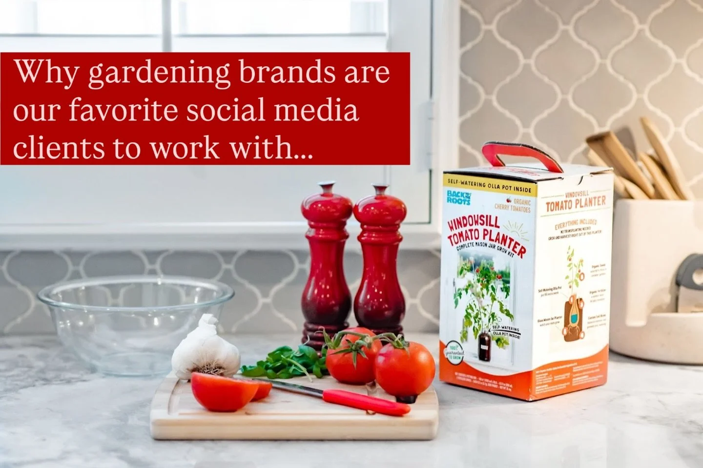 Let&rsquo;s help your brand grow. 🌱

Gardening brands get it, they know their audiences crave beautiful visuals, helpful tips, and real community connection. 

That&rsquo;s exactly what makes social media work. When you pair stunning content with a 