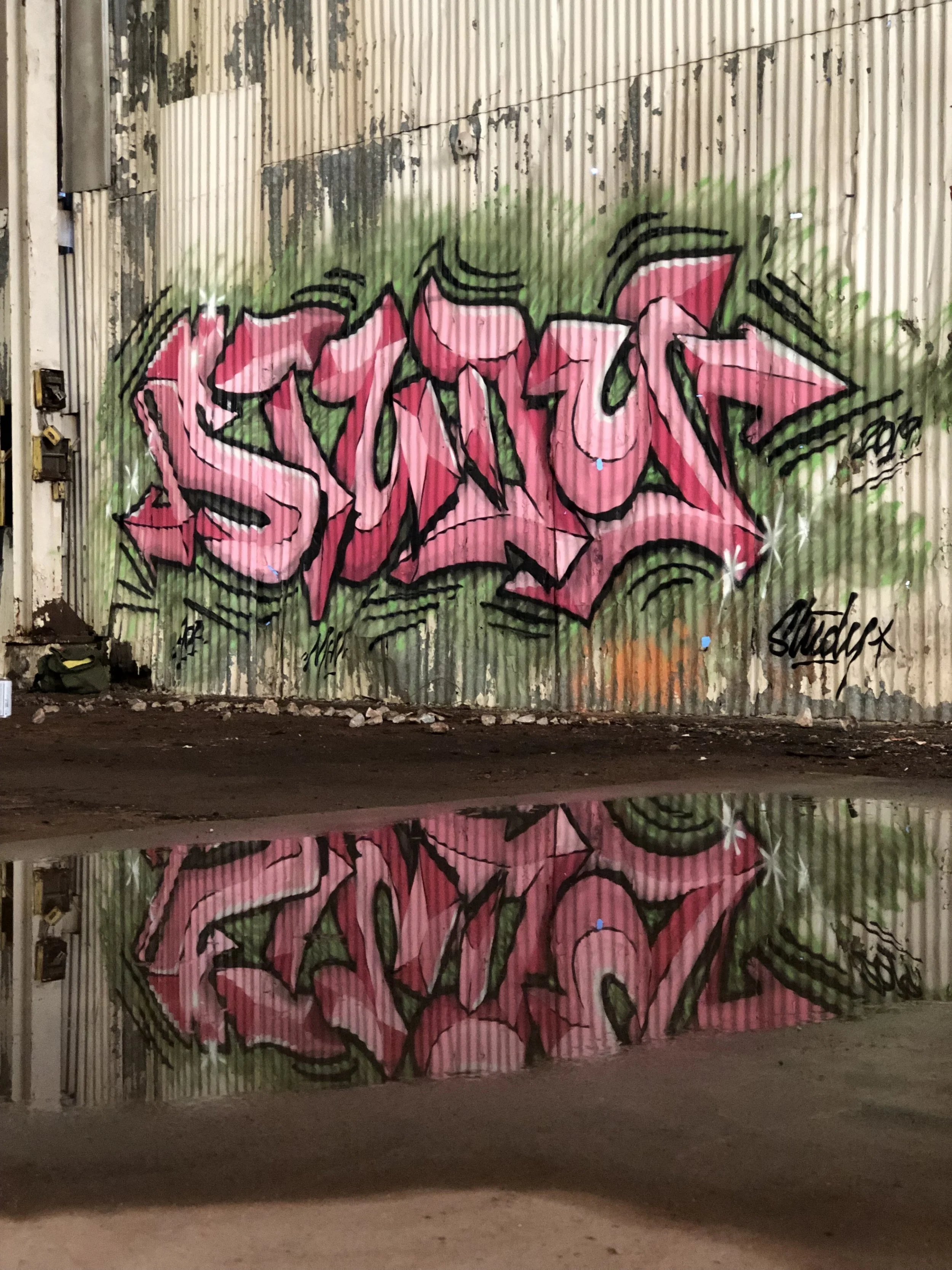 IMG_9478.jpeg