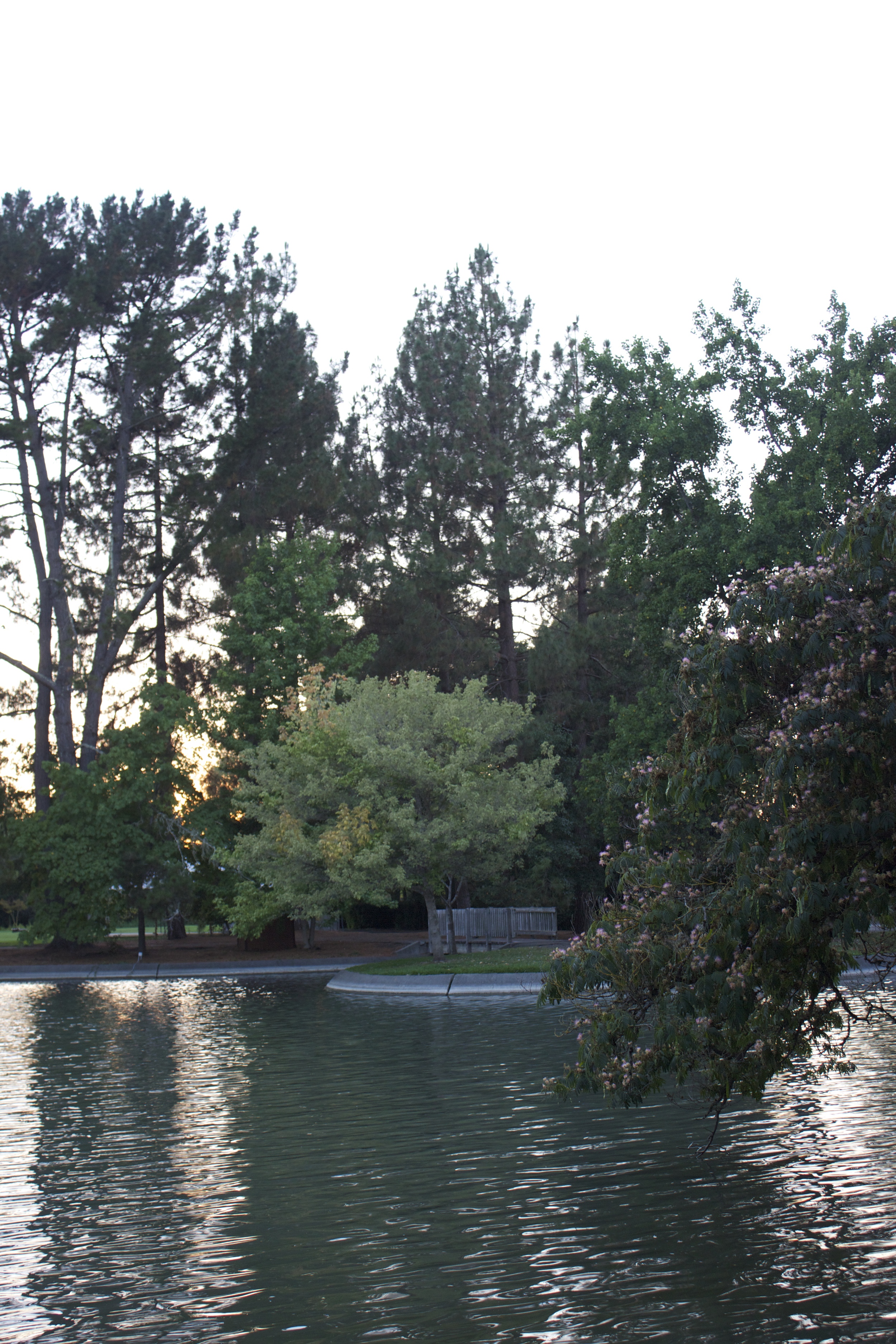 STAR // Jenna Fischer Sonoma State named as one of the most beautiful colleges in California.