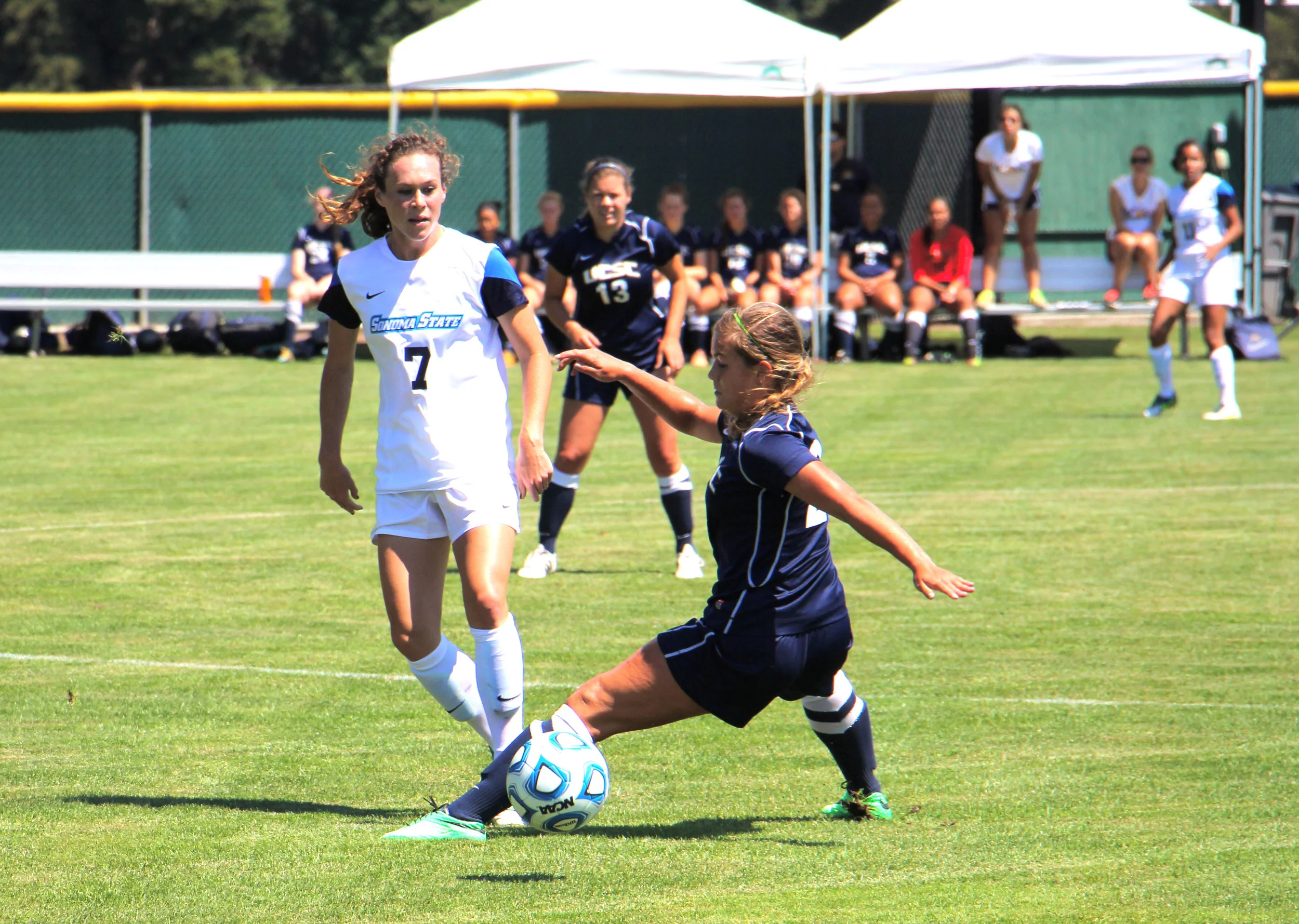 STAR // Maud Busson The Lady Seawolves beat UC Santa Cruz 3-0, and then enjoyed some friendly competition in their annual ‘Alumni Scrimmage.’