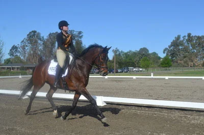 COURTESY // SSU Equestrian The equestrian team competed in Nationals last year.