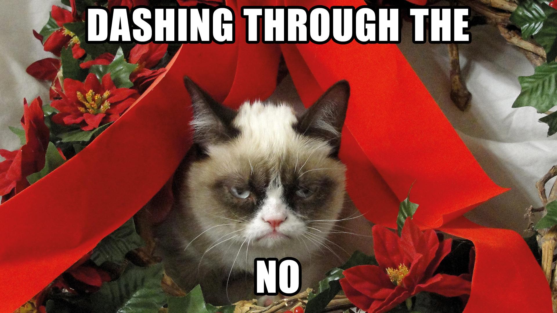 Grumpy Cat Thursday GIF