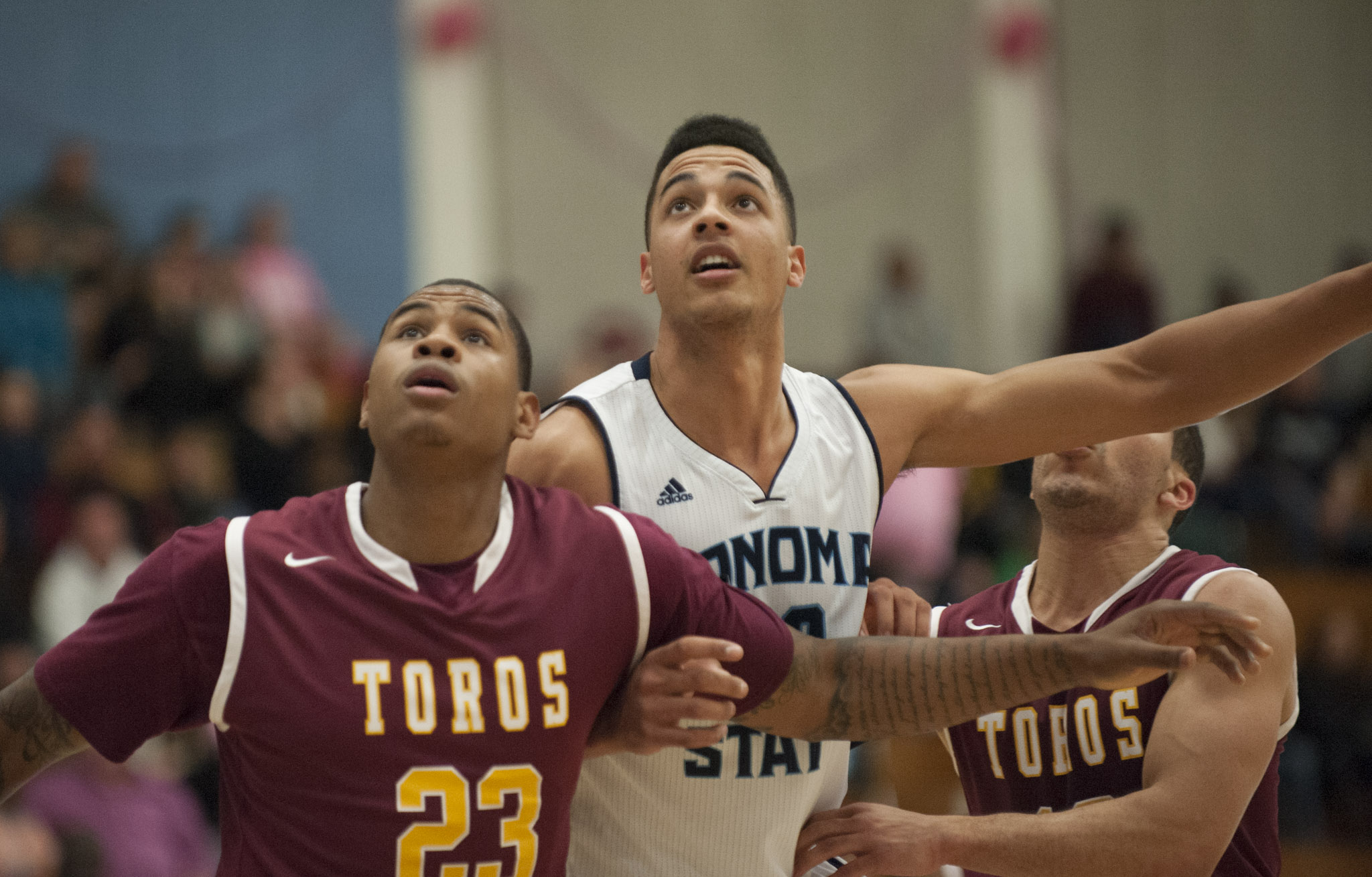 sonomaseawolves.com Sophomore Nathan Molony-Benjamin battles for rebound position. 