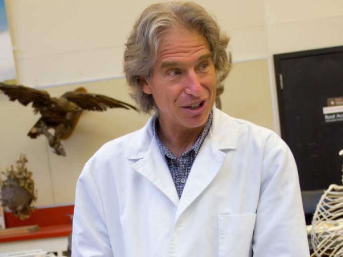 facebook.com Santa Rosa Junior College professor, Nick Anast, died on March 18 in a kayaking accident in Tomales Bay. 