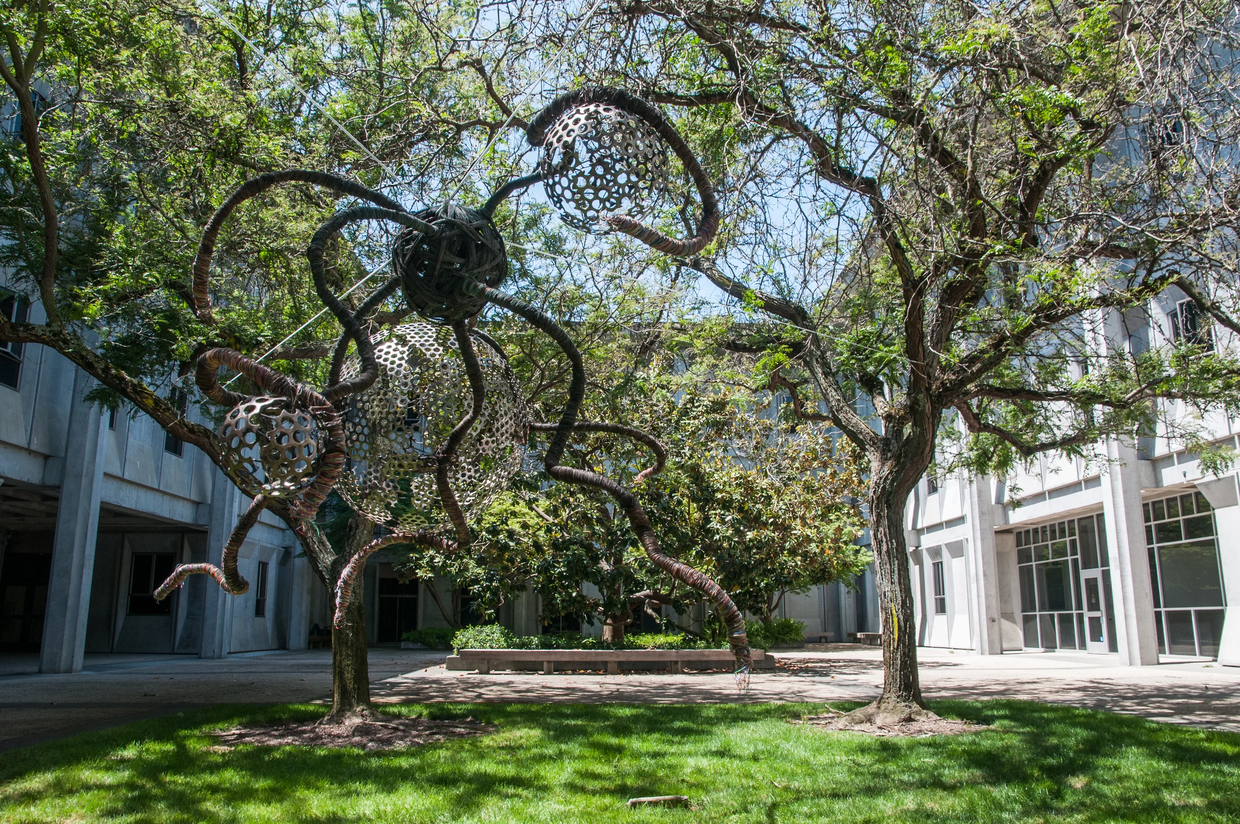 STAR // Gustavo Vasquez Eleven Sonoma State University students have been working throughout the semester as part of the Commencement Sculpture course to create art showcased throughout campus in days approaching commencement.