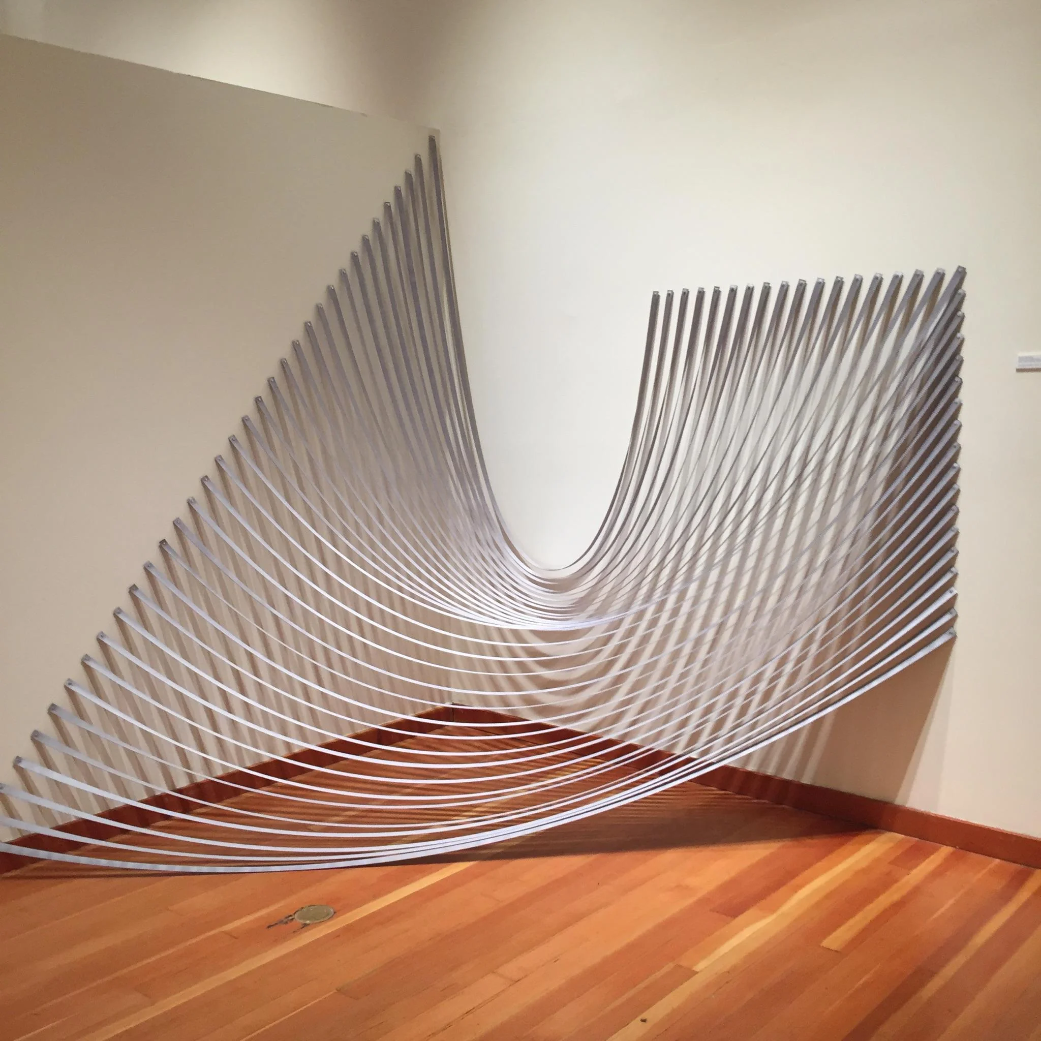STAR // Justin Freeman The Sonoma State University Art Gallery featured three professional artist’s work with a common theme: the use of lines.