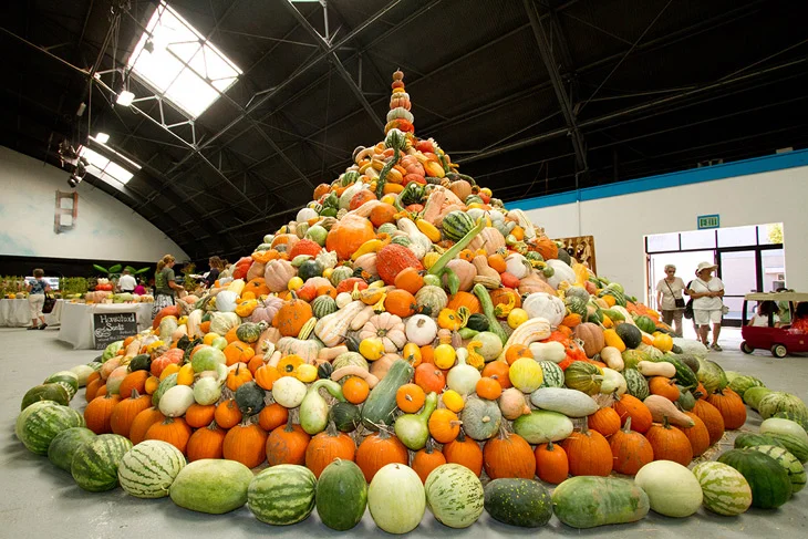 SQUASH-TOWER.jpg
