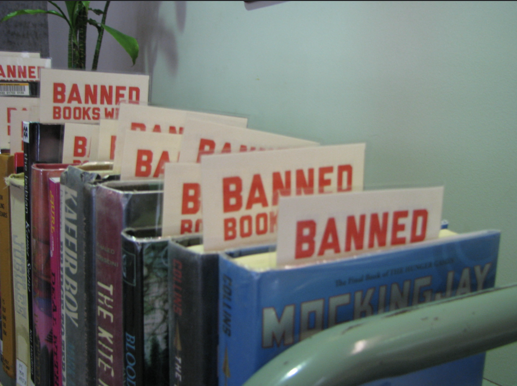What Should We Really Make of Book Bans? (Opinion)