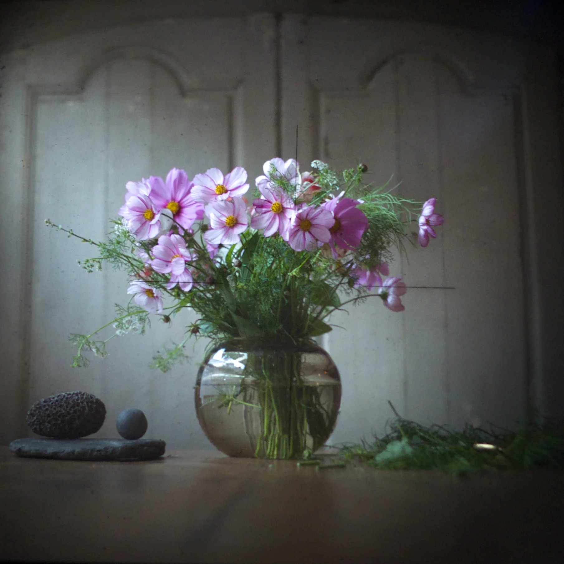 DSCF8658.jpg