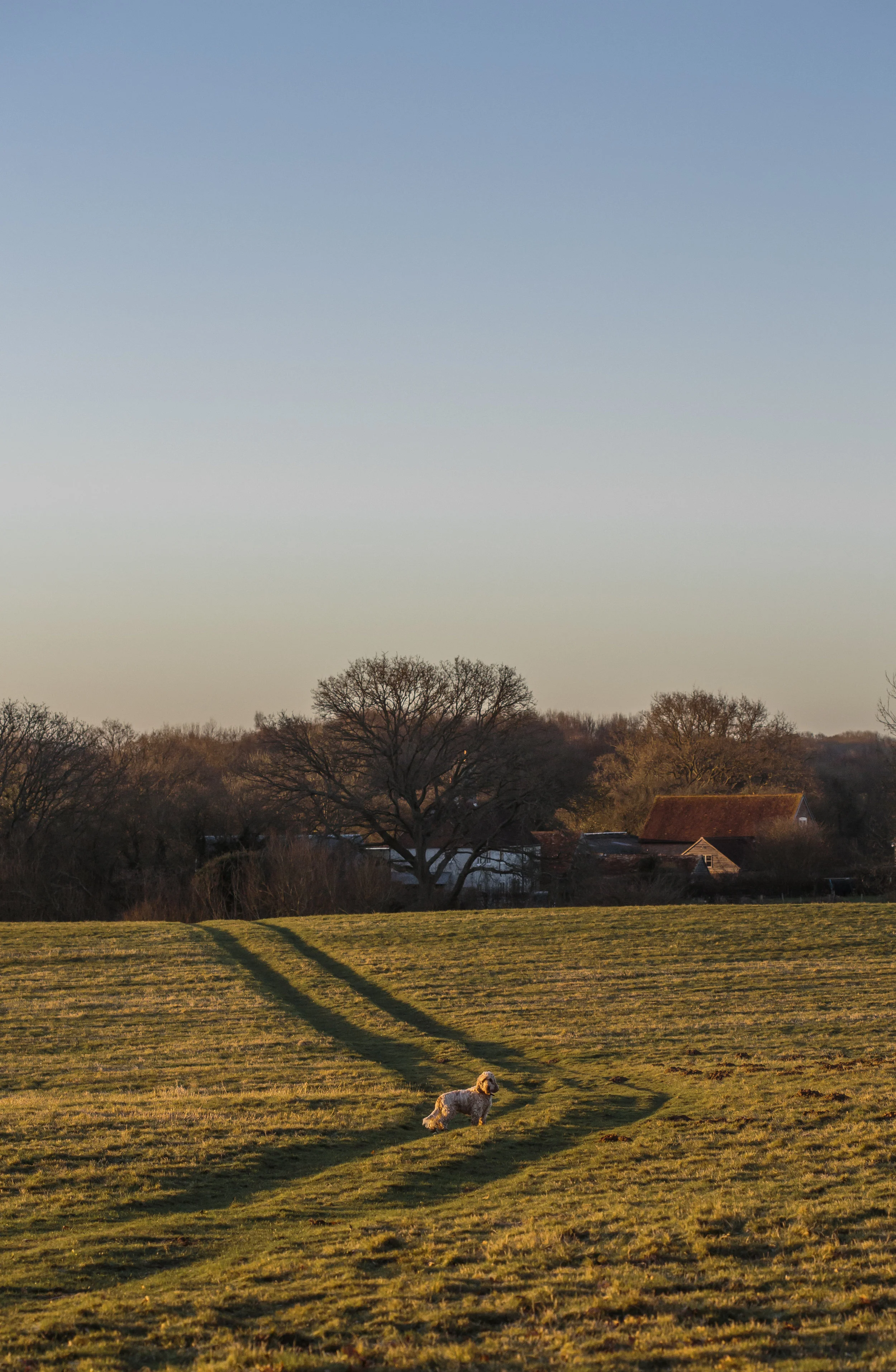 Hawthbush Jan day 2-39.jpg